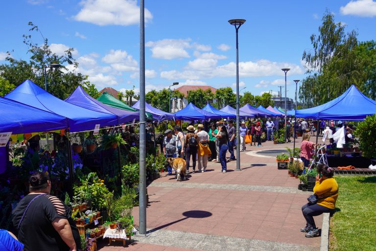 EXPO FLORES PITRUFQUÉN 2024 RECIBIO A MÁS DE MIL PERSONAS QUE DISFRUTARON DE LAS FLORES Y LAS PLANTAS ORNAMENTALES DE LA COMUNA Y LA REGIÓN